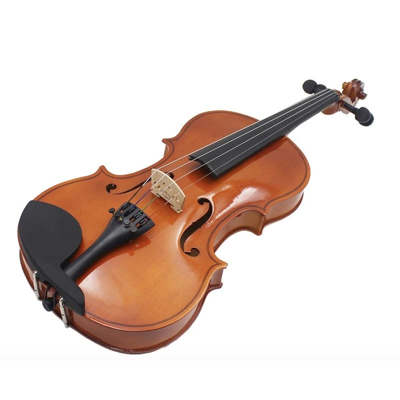 Beginner Violin